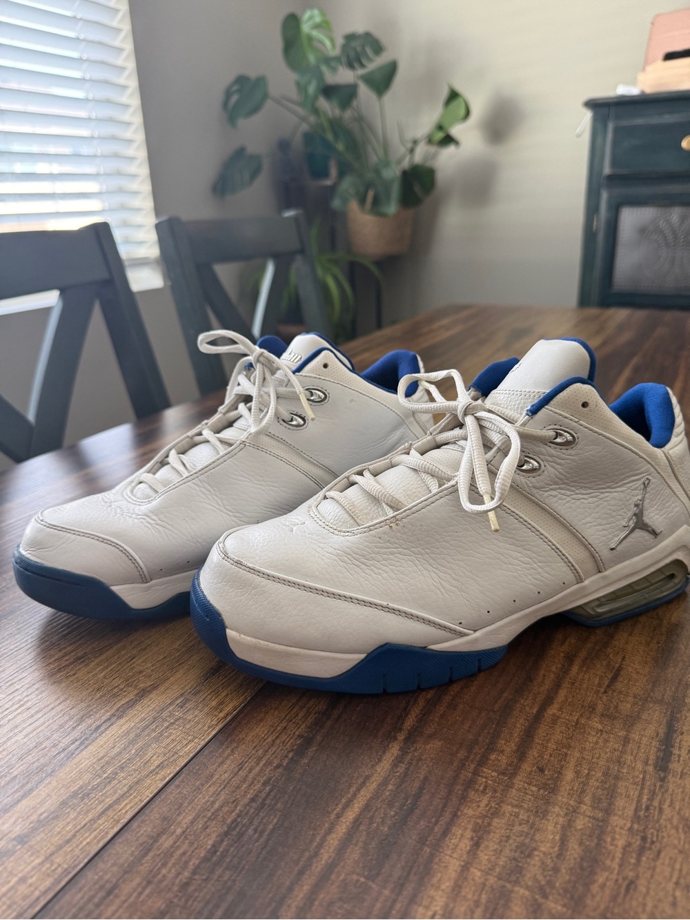 2005 Nike Air Jordan Team Reign White and Blue- retro